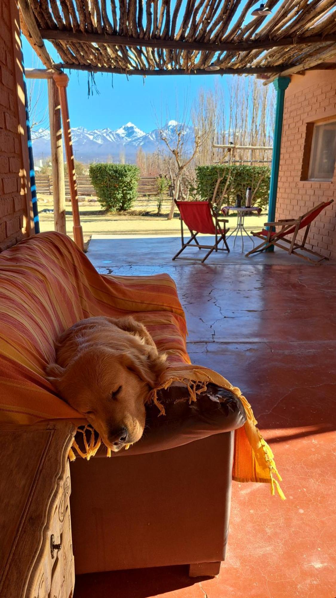 Aire De Barreal Hostel Andino Esterno foto