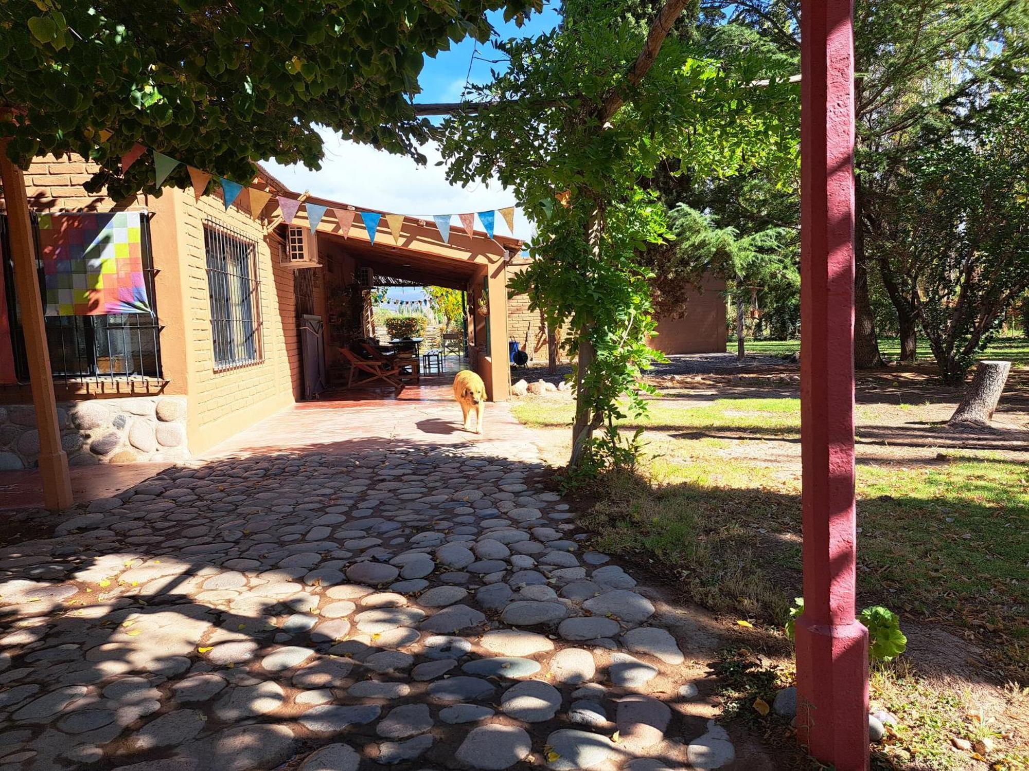 Aire De Barreal Hostel Andino Esterno foto
